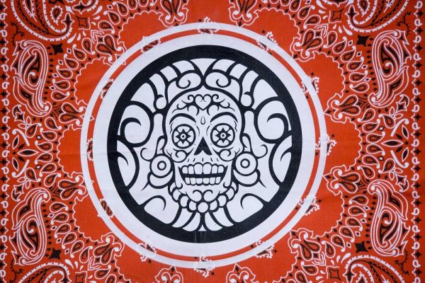 Arizona, Phoenix Bandana with skull design
